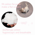 Coussin De Sol Peluche Patte de Chat Kawaii
