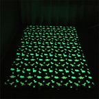 Ambiance nocturne tapis dinosaure illuminé